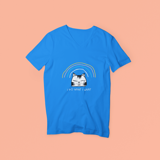 I Do What I Want - Men's Tee